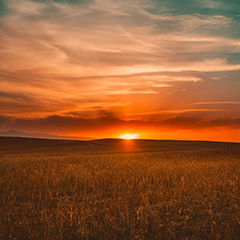 Relax Music – Sunset
