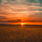 Sonnenuntergang