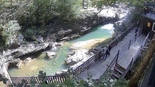 Webcam dans le site naturel de Monakhovo, gorge de Guam, Apsheronsk