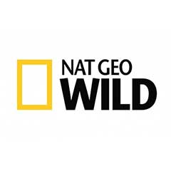 National Geographic Wild online watch live stream for free